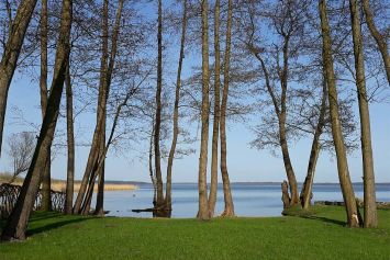 Direkter Zugang zum See Direkter Zugang zum See