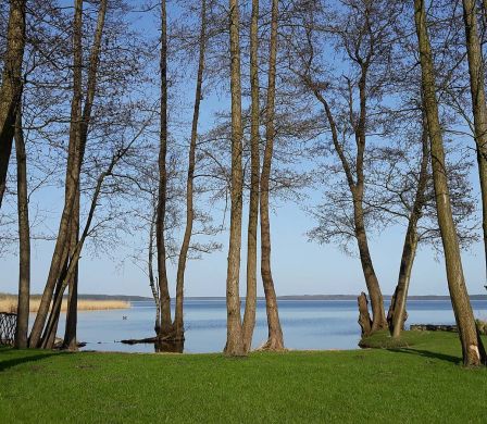 Direkter Zugang zum See