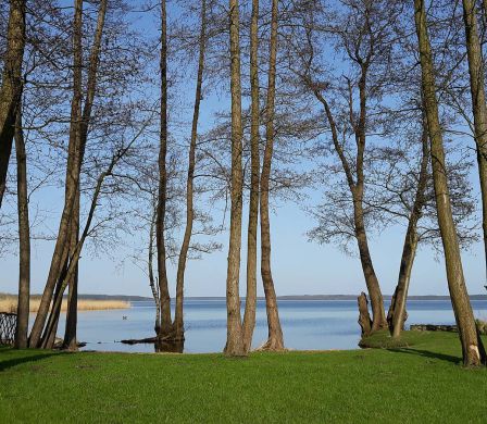 Direkter Zugang zum See
